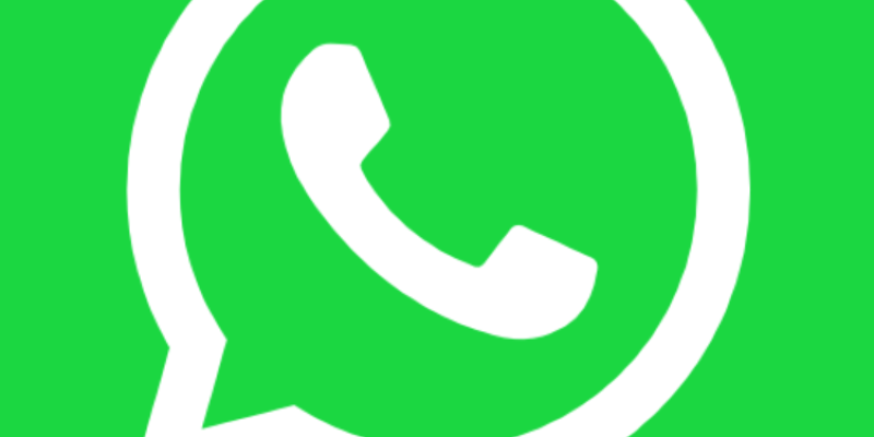 Conocer la biología para entender nuestra salud - Noviembre