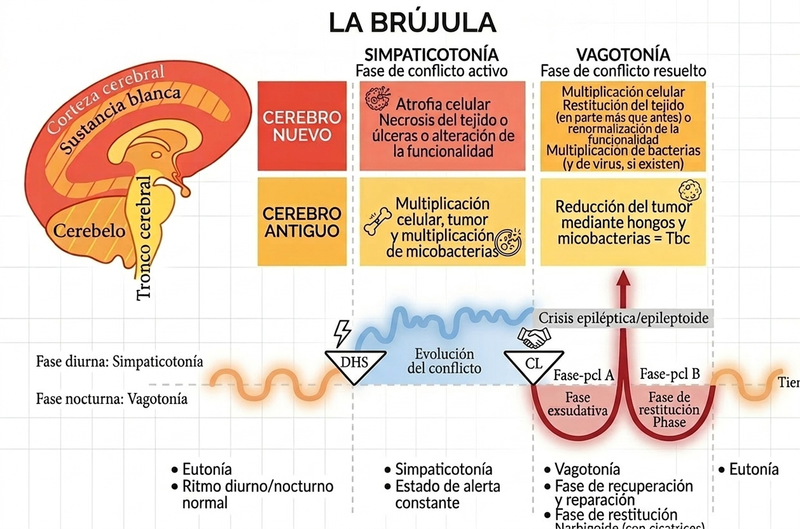 Encuentro de Nueva Medicina Germánica: Conociendo las Bases de un Nuevo Paradigma Científico