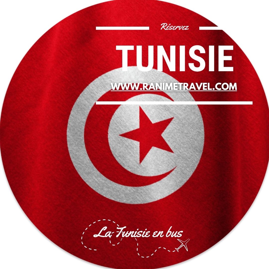 La Tunisie en avion