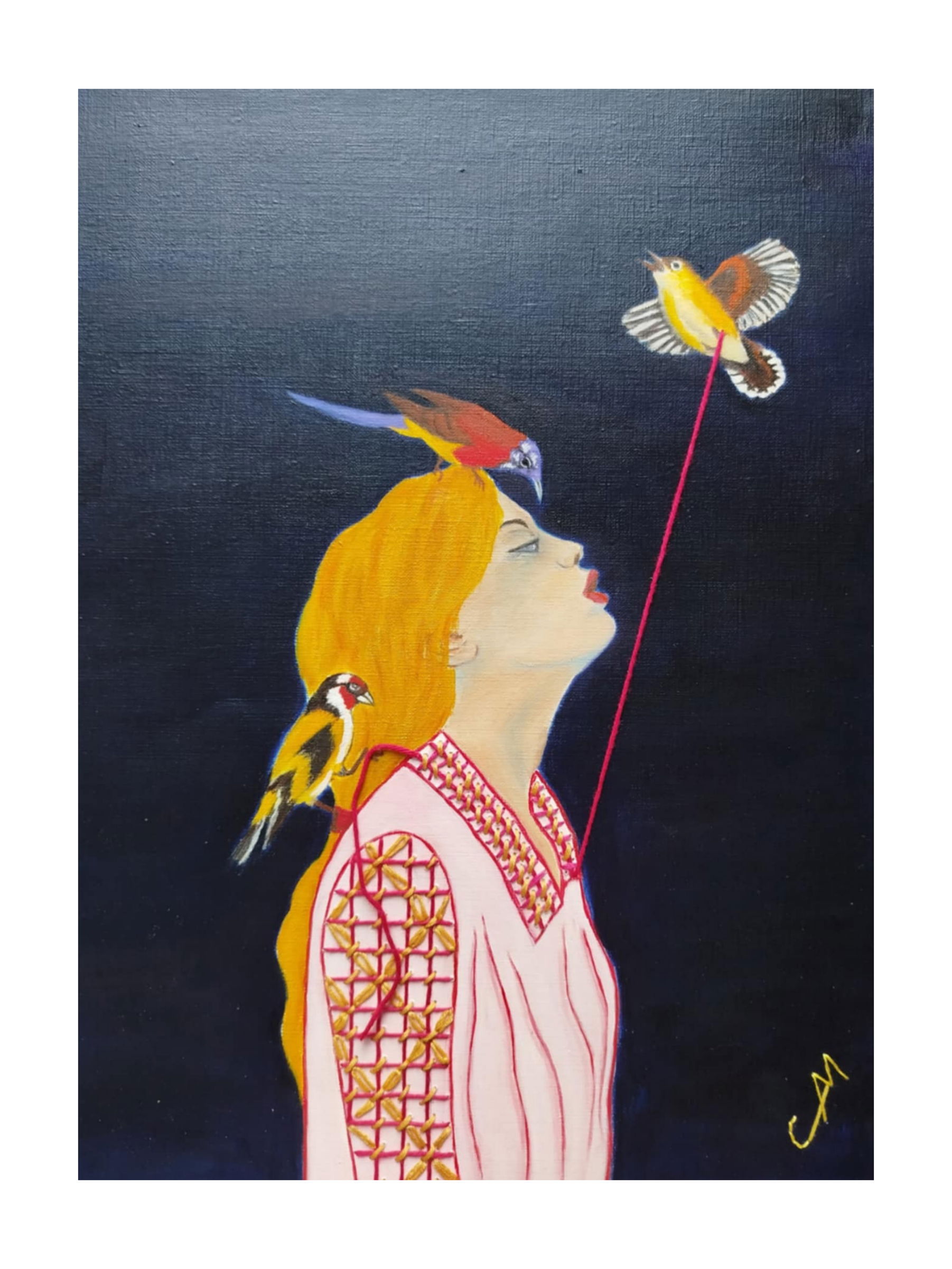 LES OISEAUX