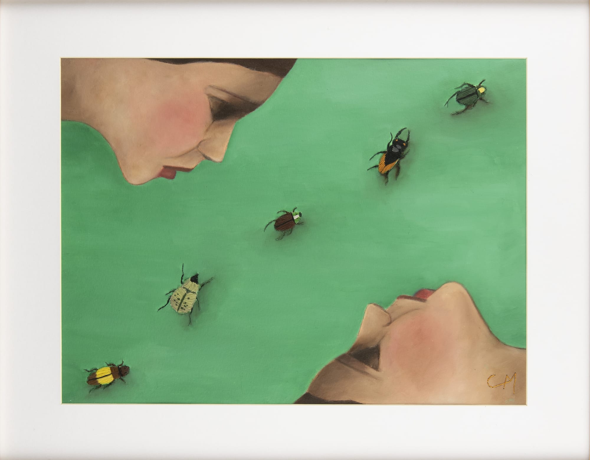 LES INSECTES