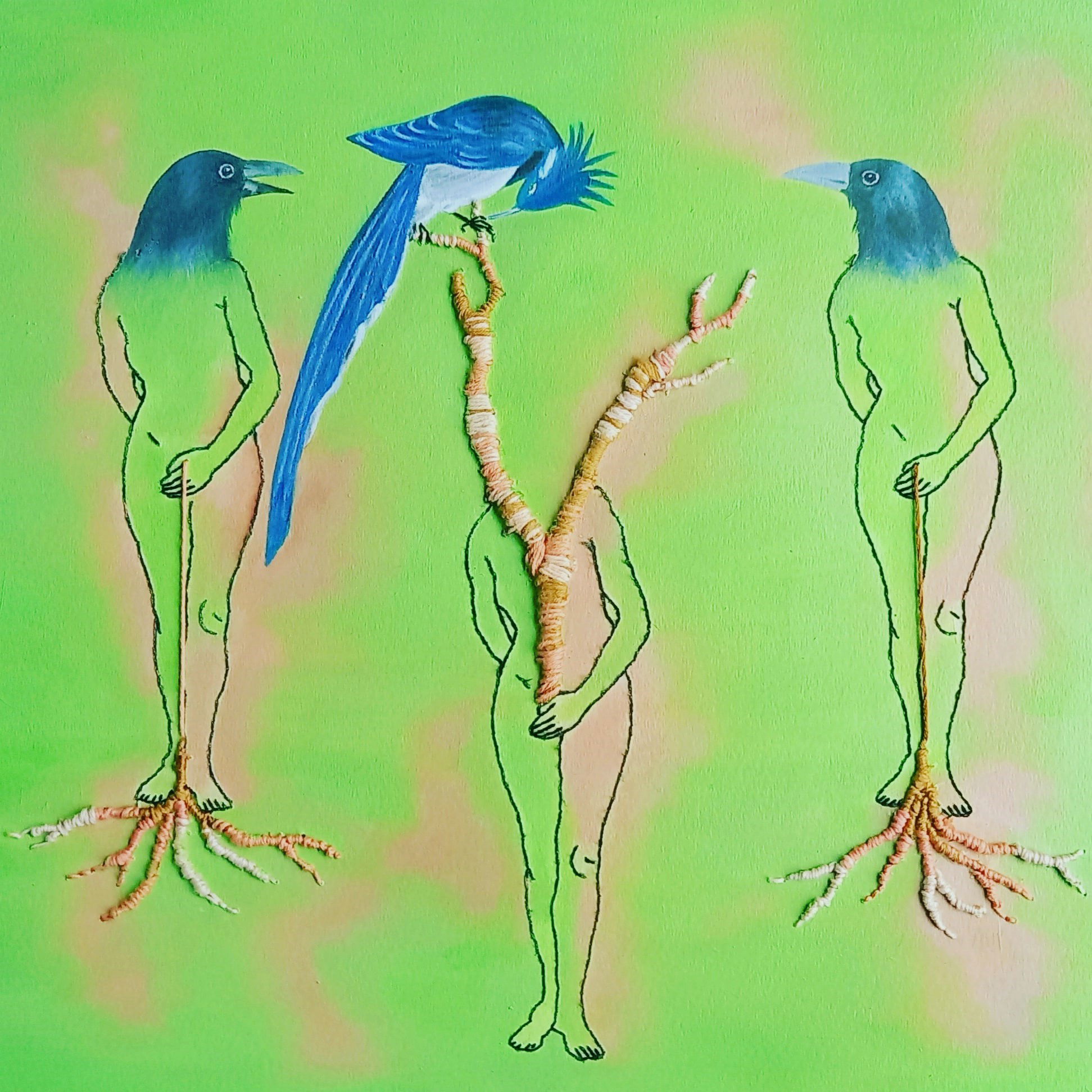LES OISEAUX IMAGINAIRES
