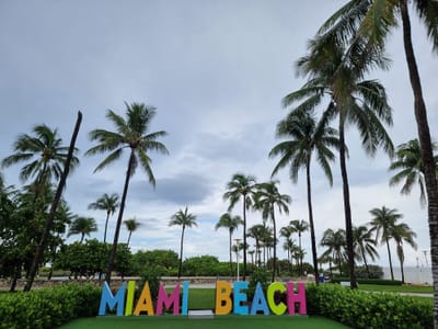 Embracing the Outdoors: 10 Enchanting Parks and Natural Spaces in Miami