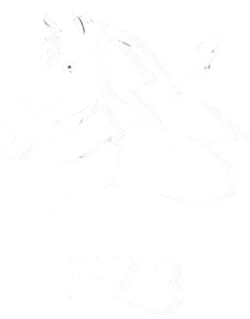 FZ3