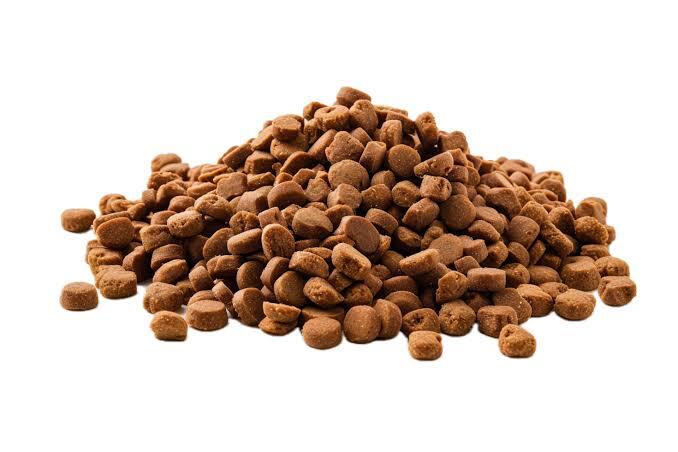 Desenvolvimento de Fórmulas