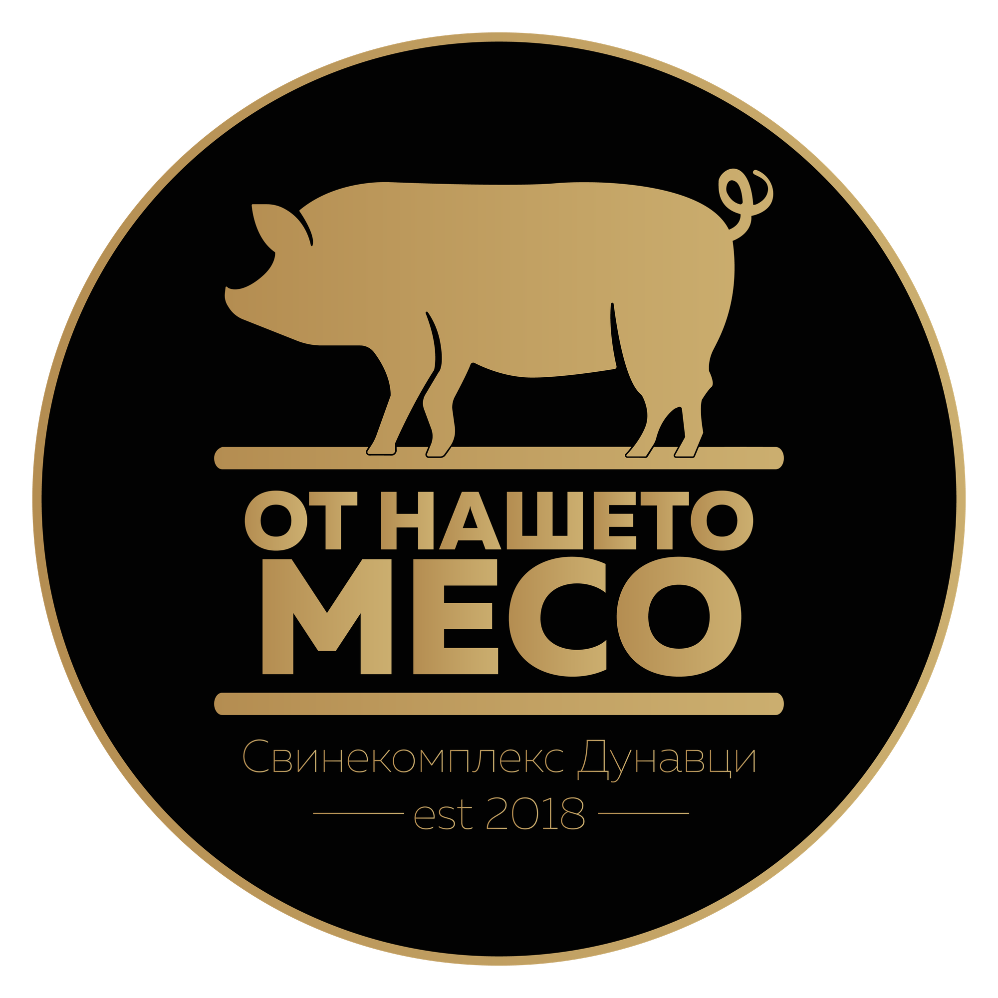 Дизайн и векторизиране на графични лога. Цялостна изработка на бранд идентичност.