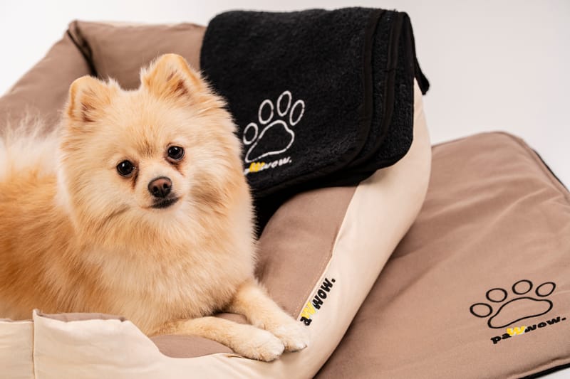 Професионална продуктова фотография