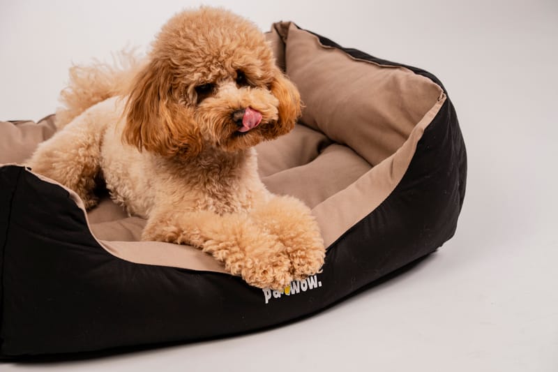 Професионална продуктова фотография