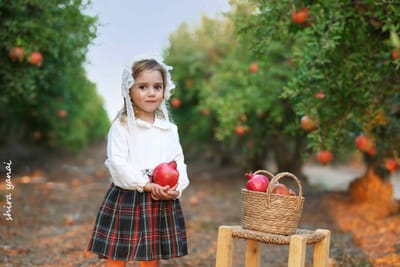 מטע רימונים באיזור בנימינה