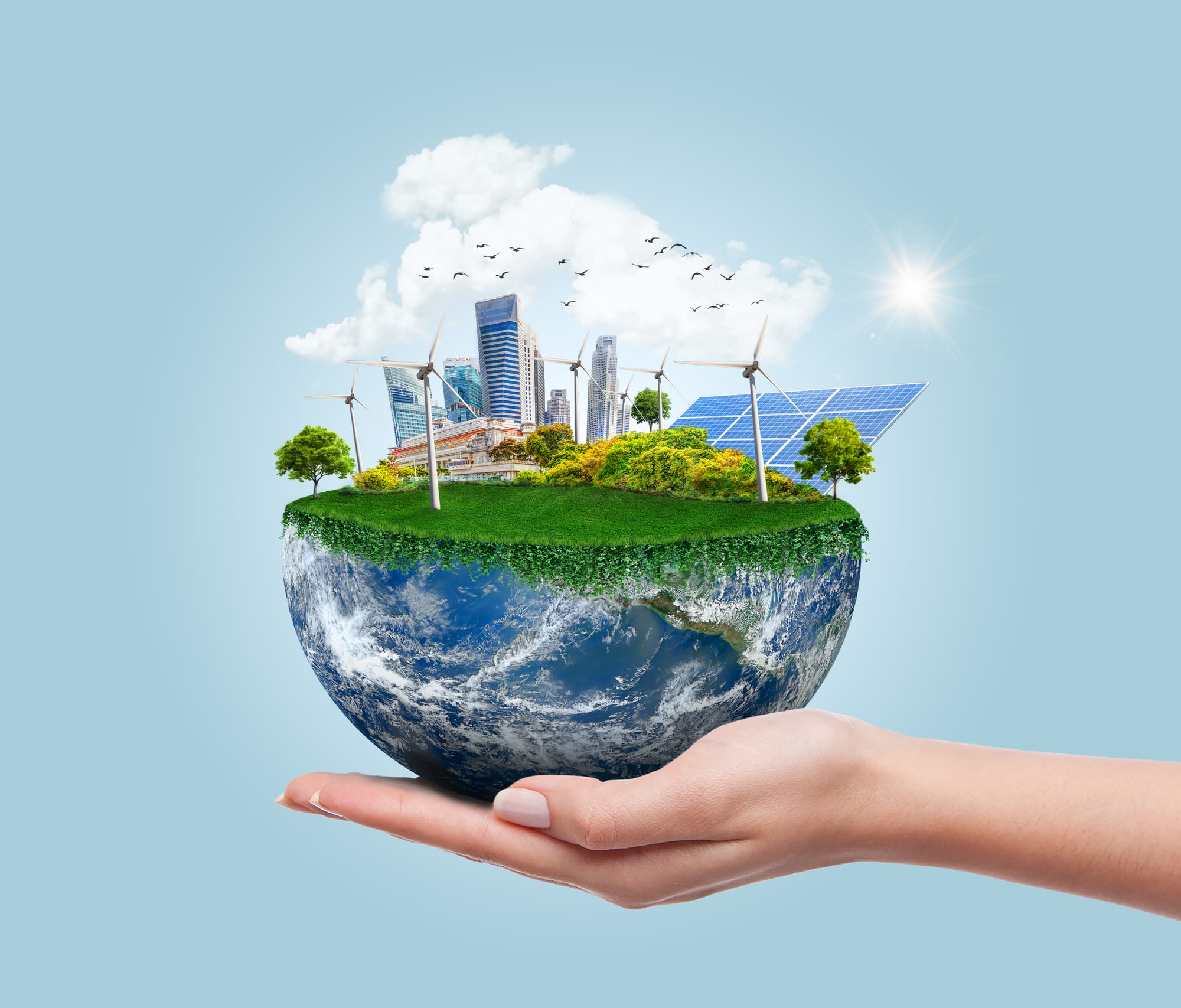 Güvenlik ve Sürdürülebilirlik: Yenilebilir Enerji Kaynakları