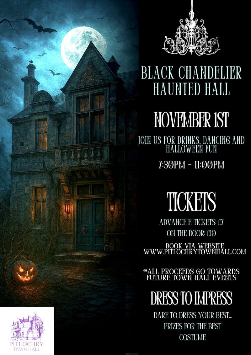 BLACK CHANDELIER HAUNTED HALL HALLOWEEN