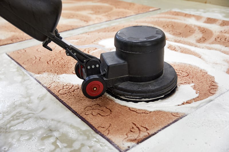 تنظيف سجاد في العين