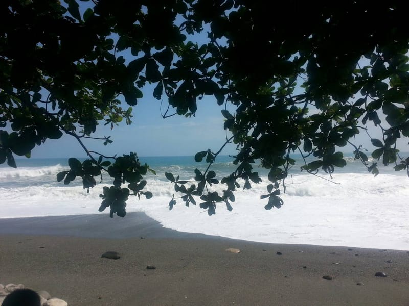 沉浸浪漫