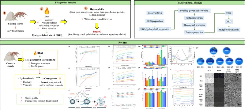 Influence of different hydrocolloids on the pasting, rheological, and morphological characteristics of heat gelatinized cassava starch