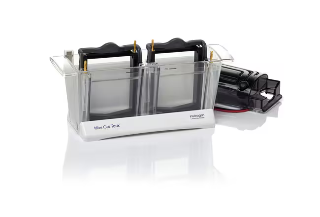 Mini Gel Tank
