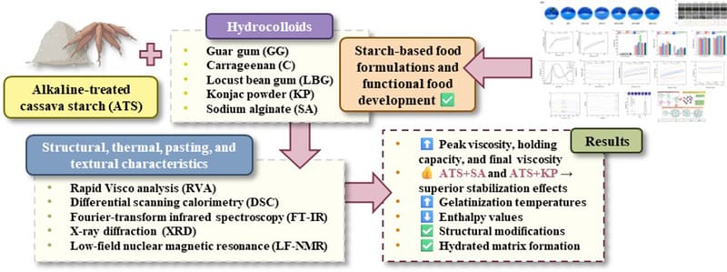 Mechanistic insights into the role of hydrocolloids in modulating the rheological properties and flow behavior of alkaline-treated cassava starch