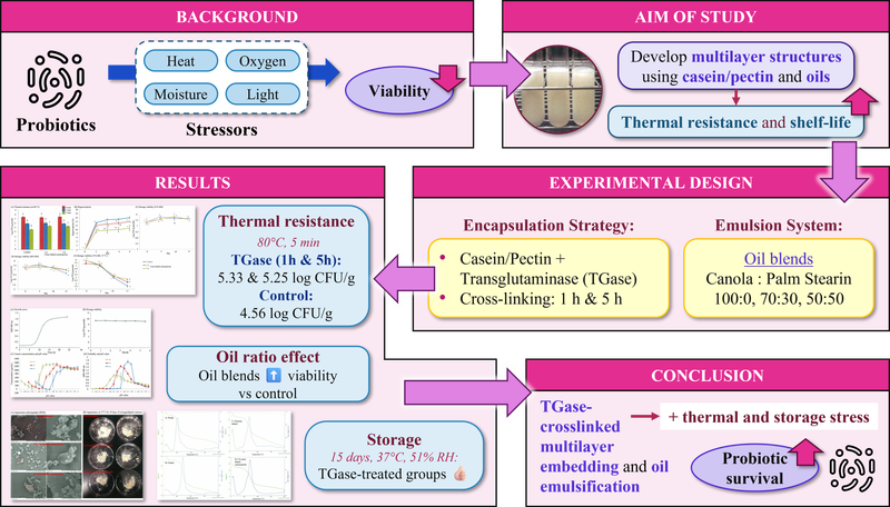 Thermal resistance and stability of multilayers embedding probiotic structure