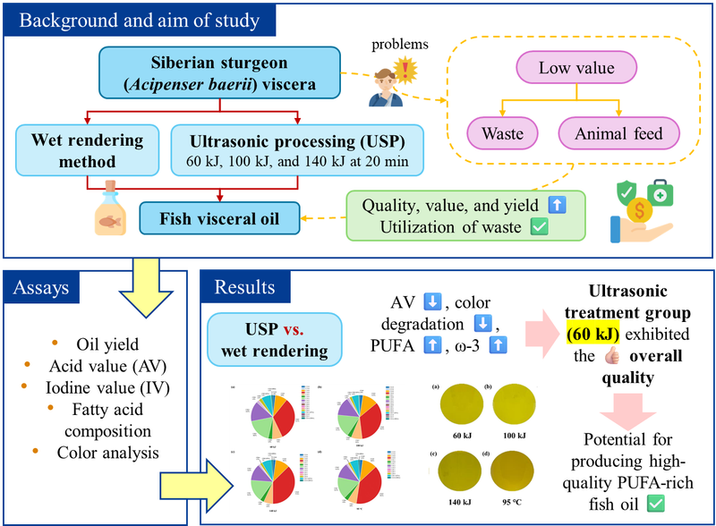 Sustainable fish oil extraction from sturgeon visceral biomass: A comparative study between high-frequency  ultrasound on wet rendering process
