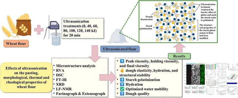 Ultrasonication-induced structural and functional modification of starch in wheat flour