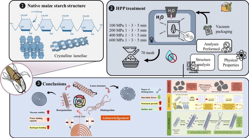 Nonlinear structural reorganisation of corn starch induced by high-pressure processing regulates its thermal, pasting and hydration behaviour