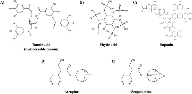 Novel discovery on reduction of tropane alkaloids and phytotoxin in sacha inchi oil by different roasting treatments