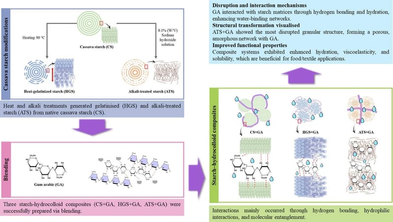 Gum arabic modulation of physicochemical properties in heat-gelatinised and alkali-treated cassava starch