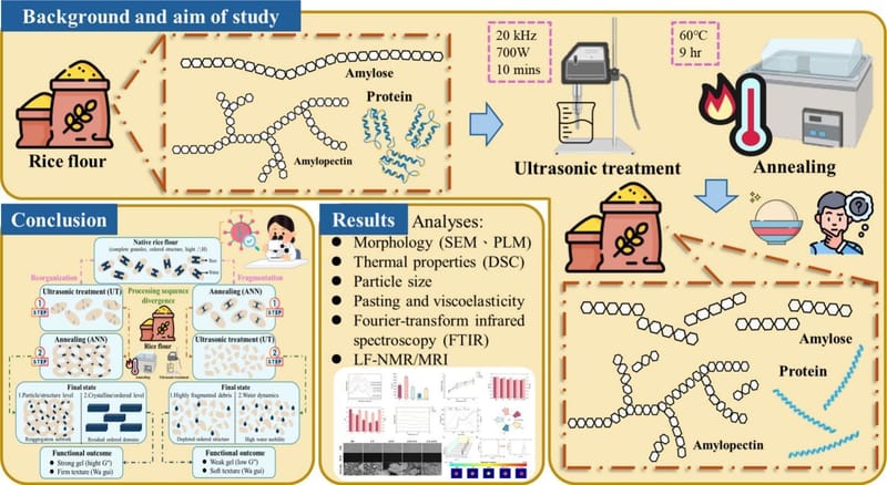 Path-dependent effects of ultrasonic and annealing treatments on the multiscale structure and functionality of rice flour for savory rice pudding (wa gui) applications