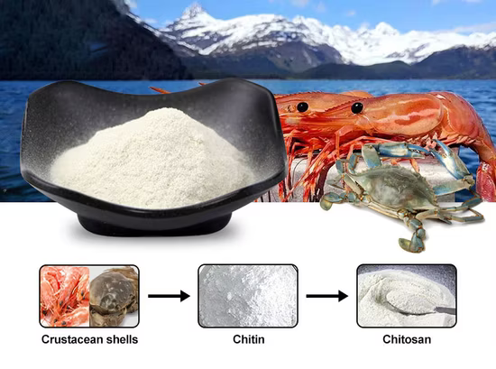 CHITOSAN: A COMPREHENSIVE ANALYSIS OF NATURE’S MULTIFUNCTIONAL BIOPOLYMER