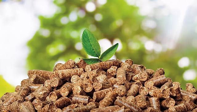 BIOMASS PELLETS: A SUSTAINABLE ENERGY SOLUTION FOR THE FUTURE