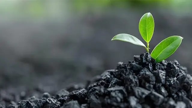 BIOCHAR FROM AGRICULTURAL WASTE IN VIETNAM