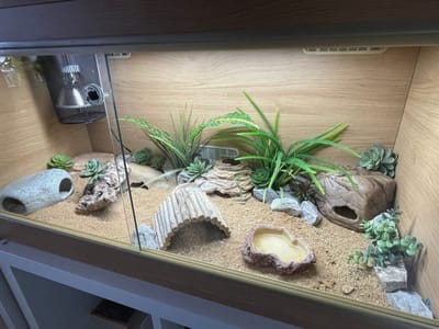 Elite Exotic Reptiles Prague