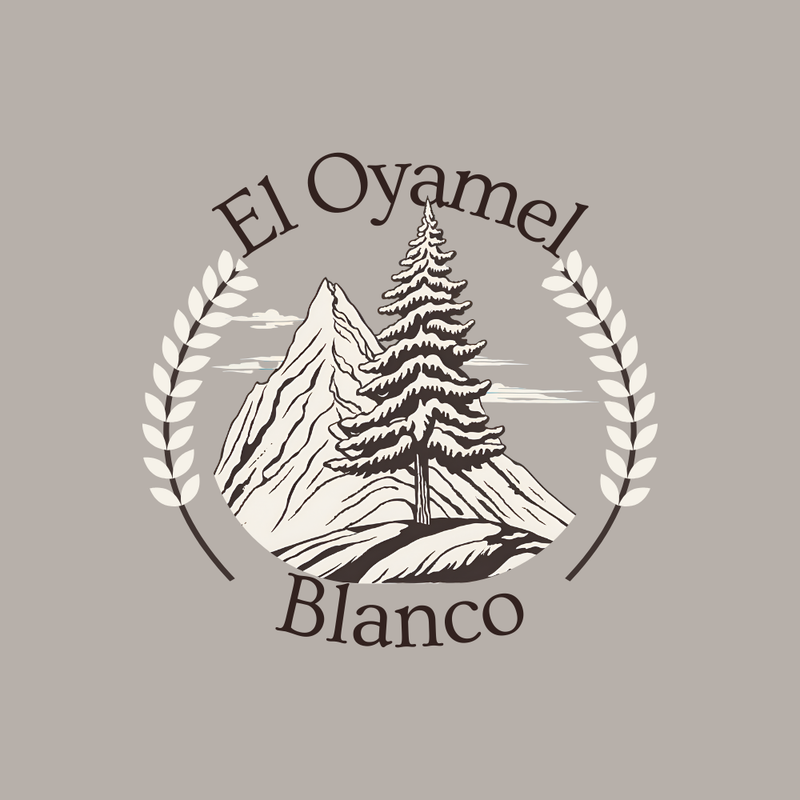 Logotipos
