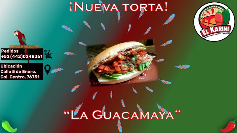 Carteles, anuncios y flyers.