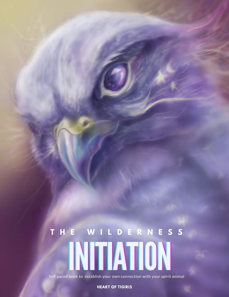 The Wilderness Initiation