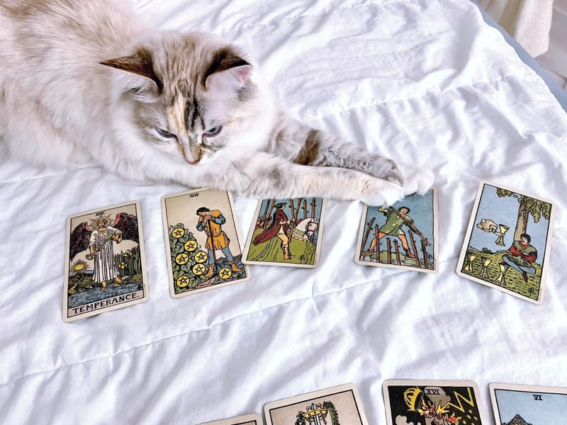 Top 25 Tarot Journaling Prompts to Meet Your Spirit Animal Guides