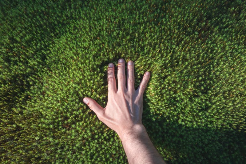 Consciously Connected Breath Work
