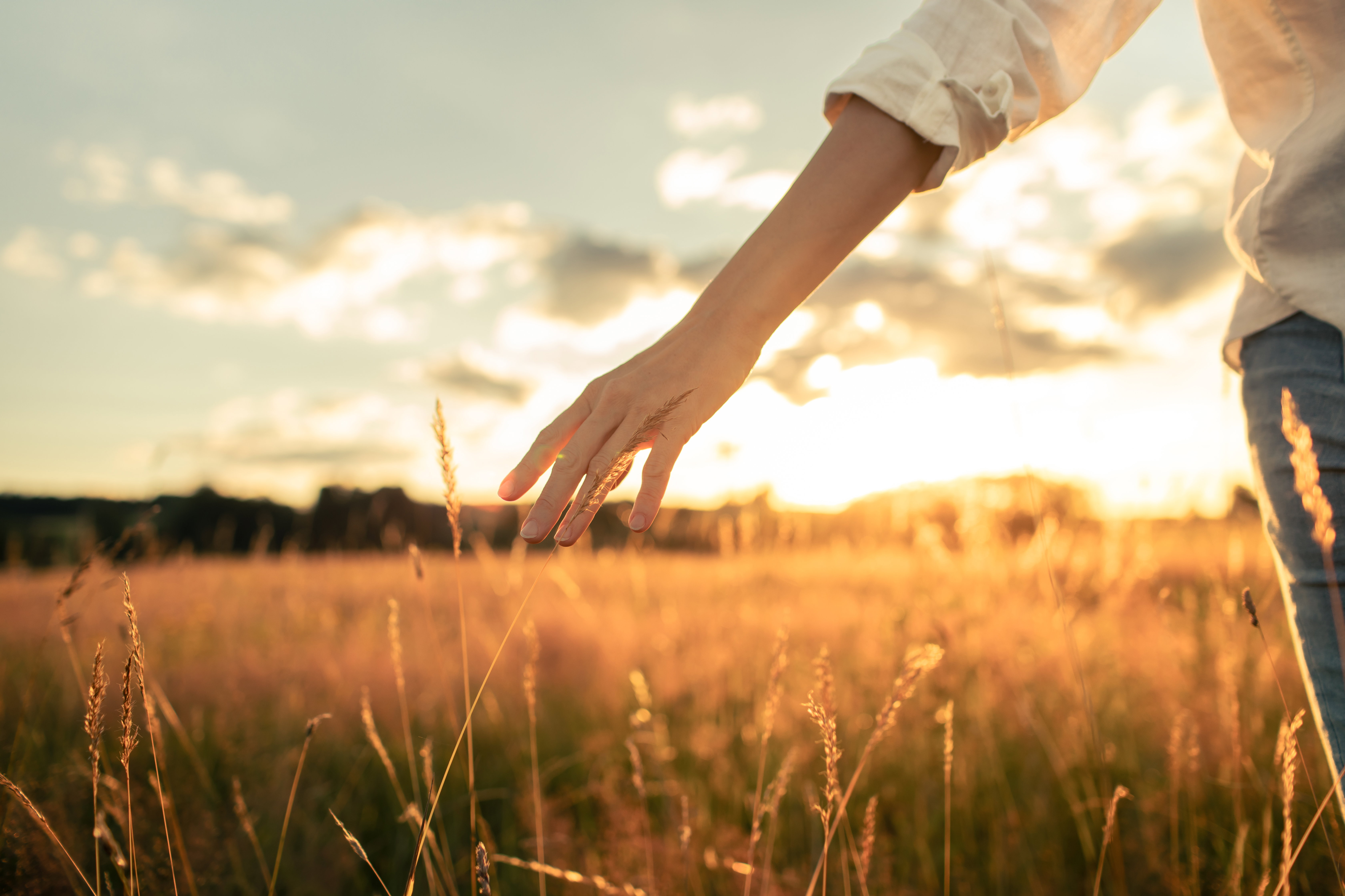 Image of hand touching grass representing healing for the blog How Unintentional Generational Trauma Can Shape Our Lives, Bodies and Beliefs