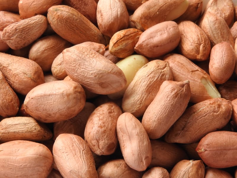 High-Quality Nuts Import and Export