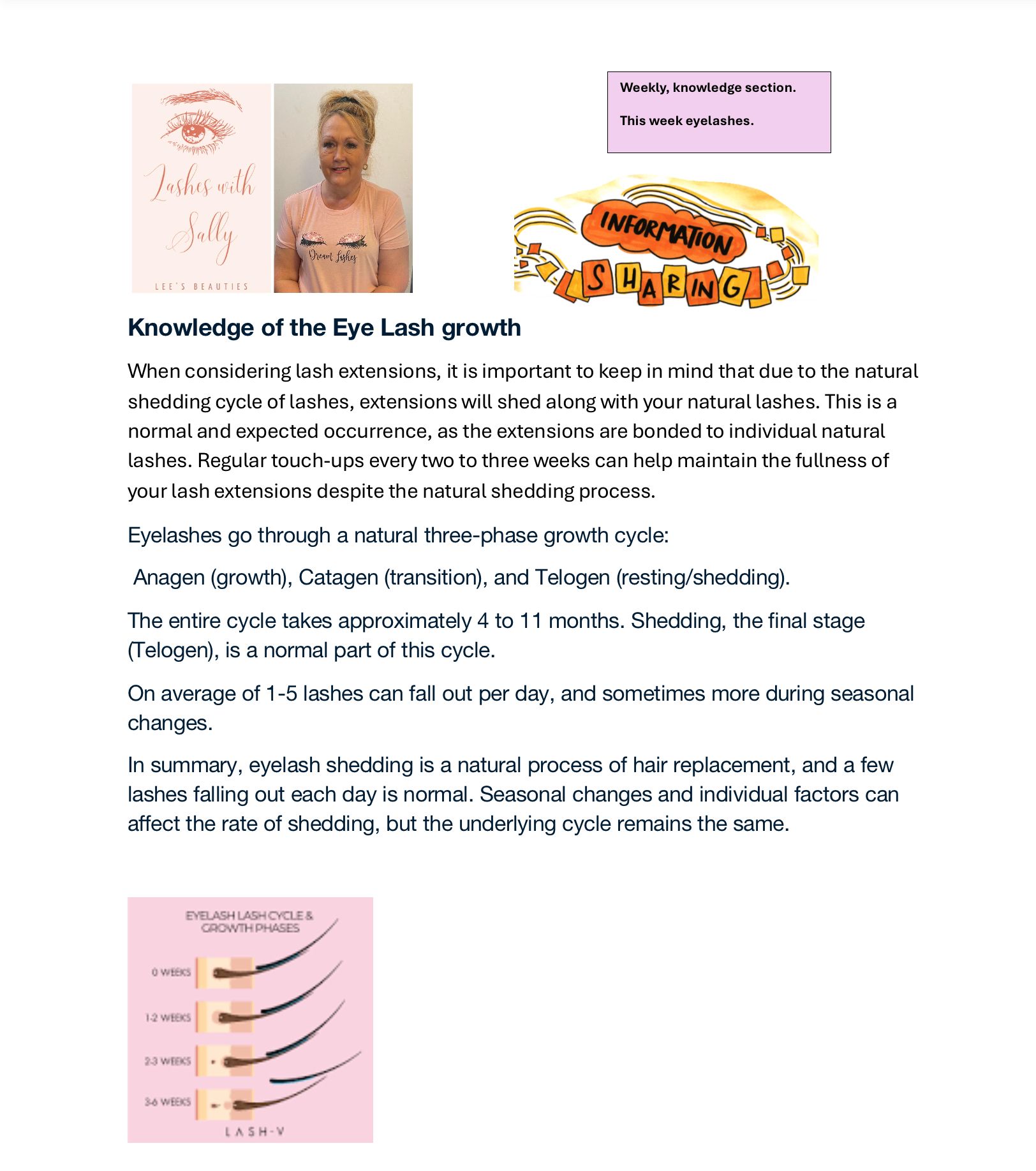 Information on the Lash Cycle