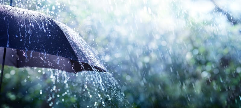ข้อควรปฏิบัติขณะฝนตก ตอนที่ (1)