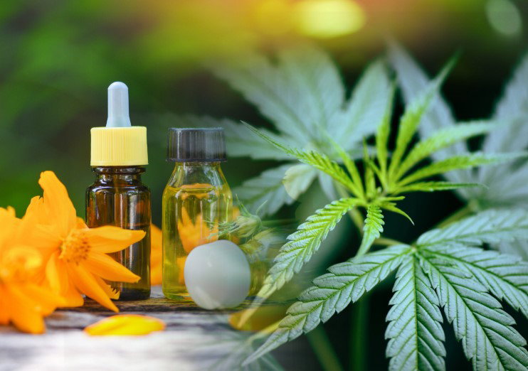 Embracing the Versatility of Hemp-Derived Products