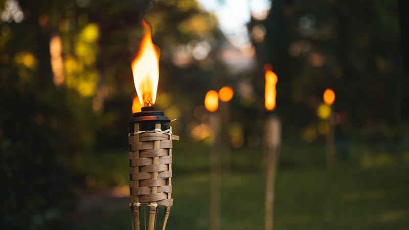 Exploring the Sustainability of Hemp-Derived Products