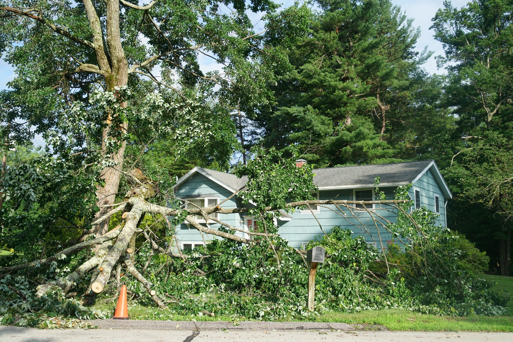 Blighted Property: