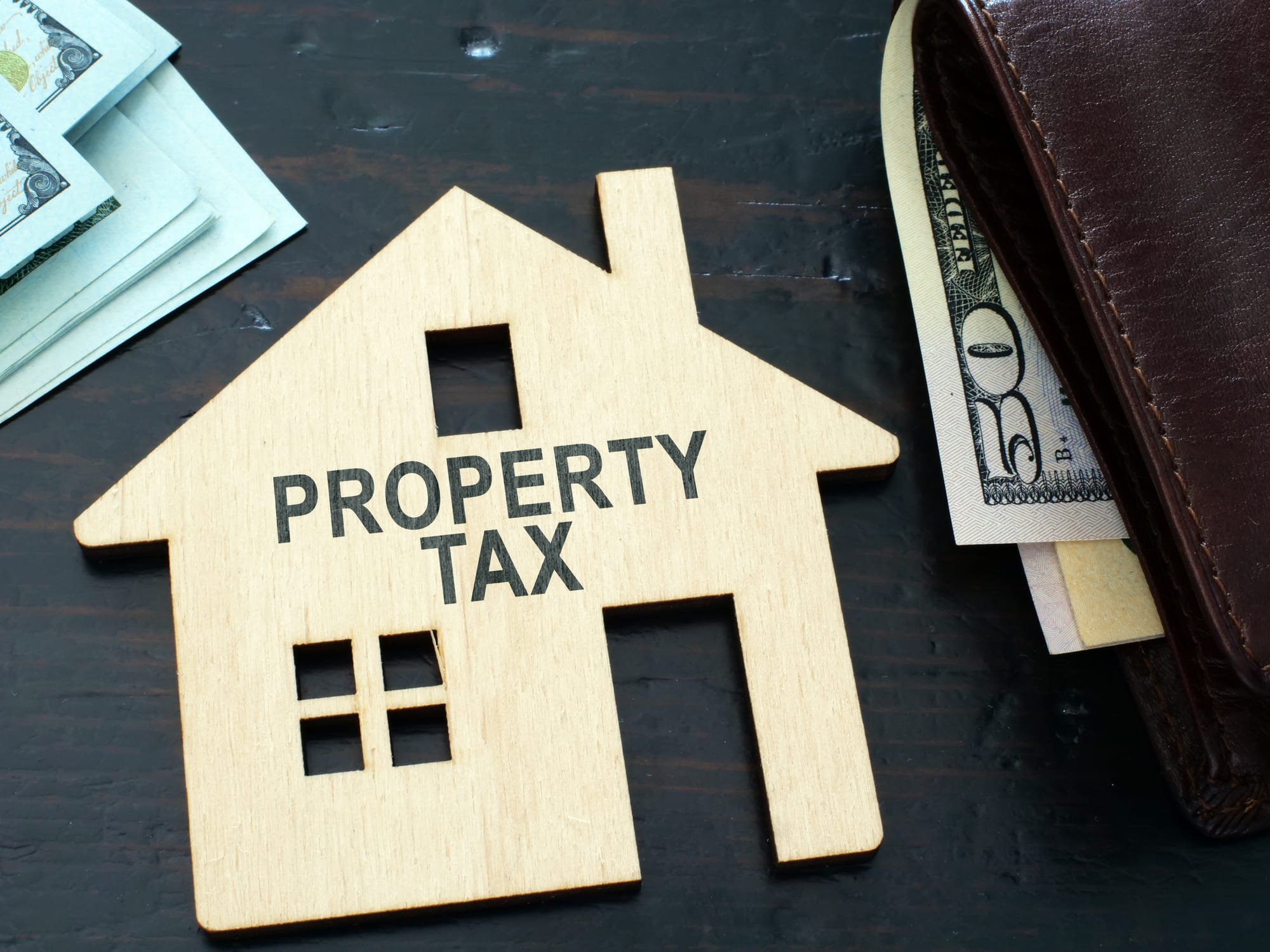 Tax Sales in South Carolina