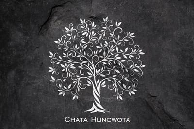 Domki Chata Huncwota