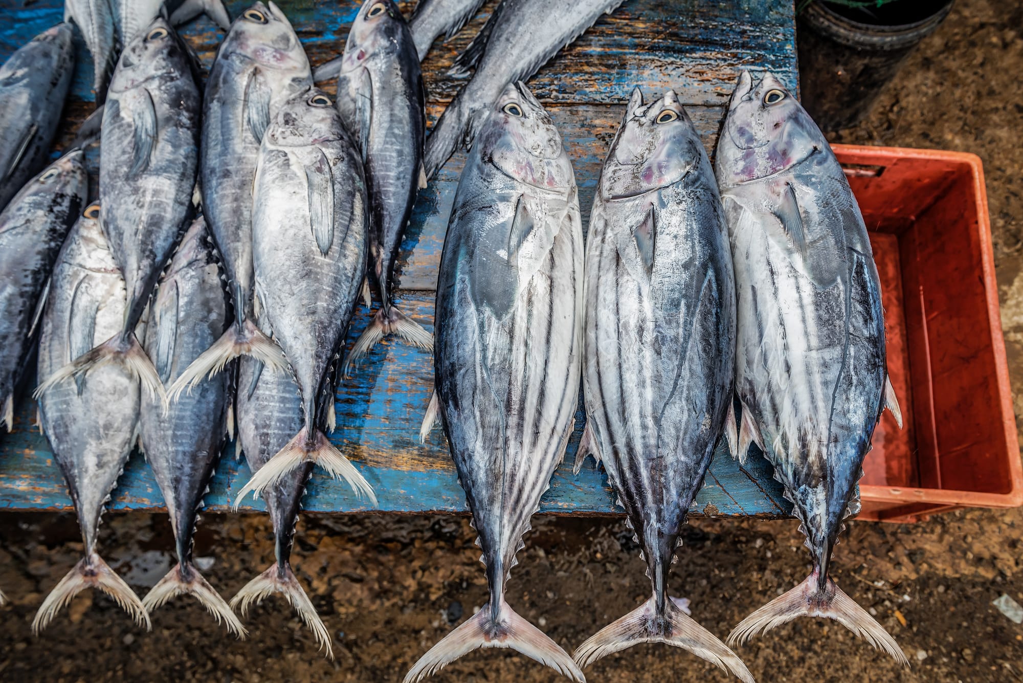 Fisheries