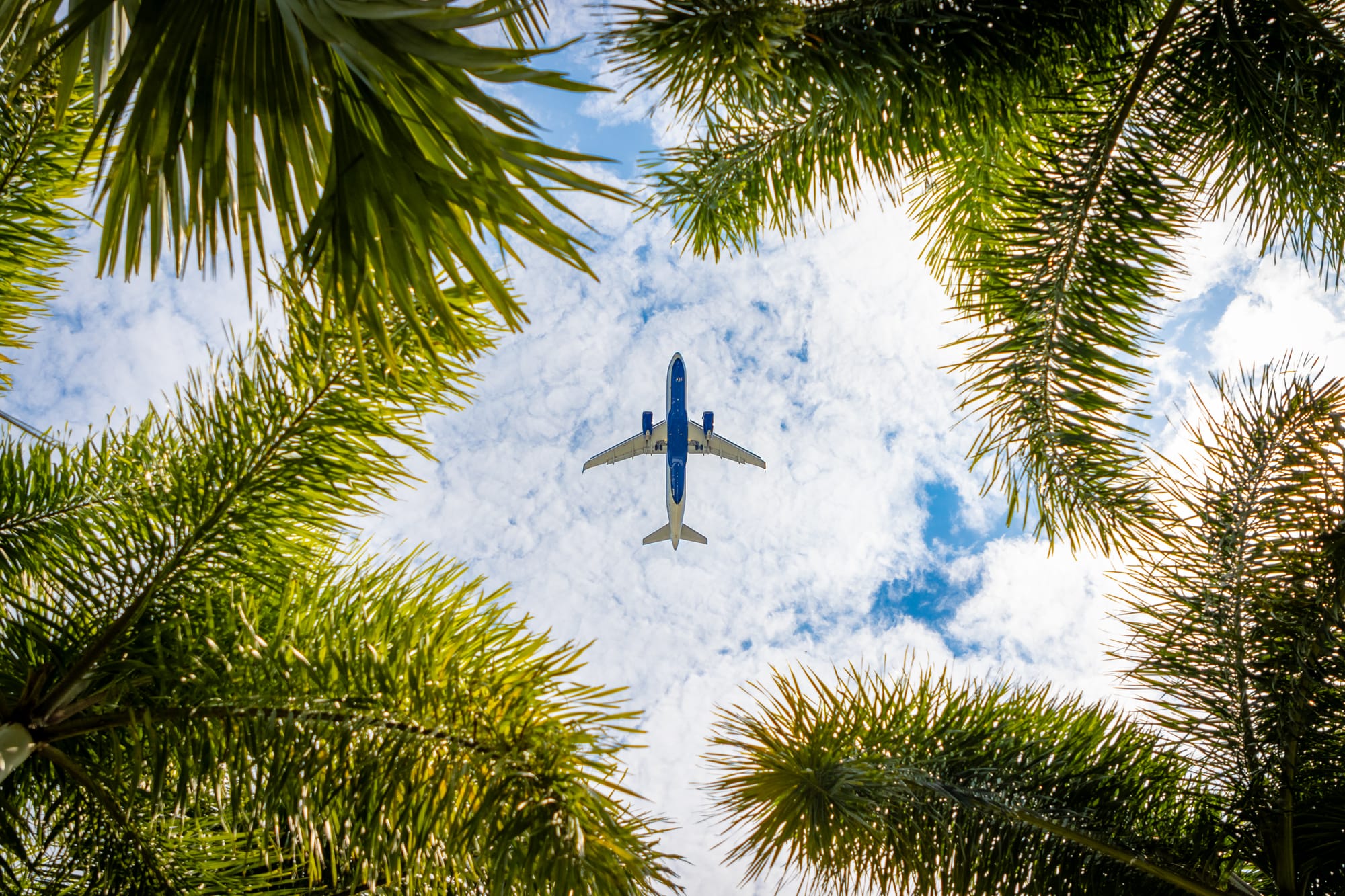 International Flights