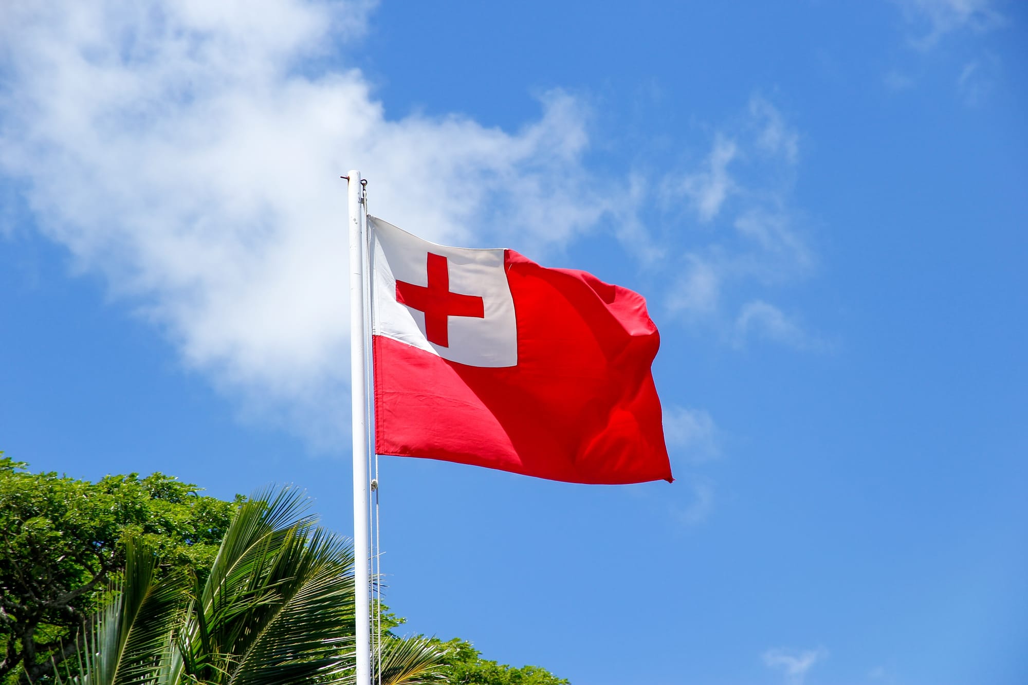Reasons to Invest in Tonga (country value proposition)