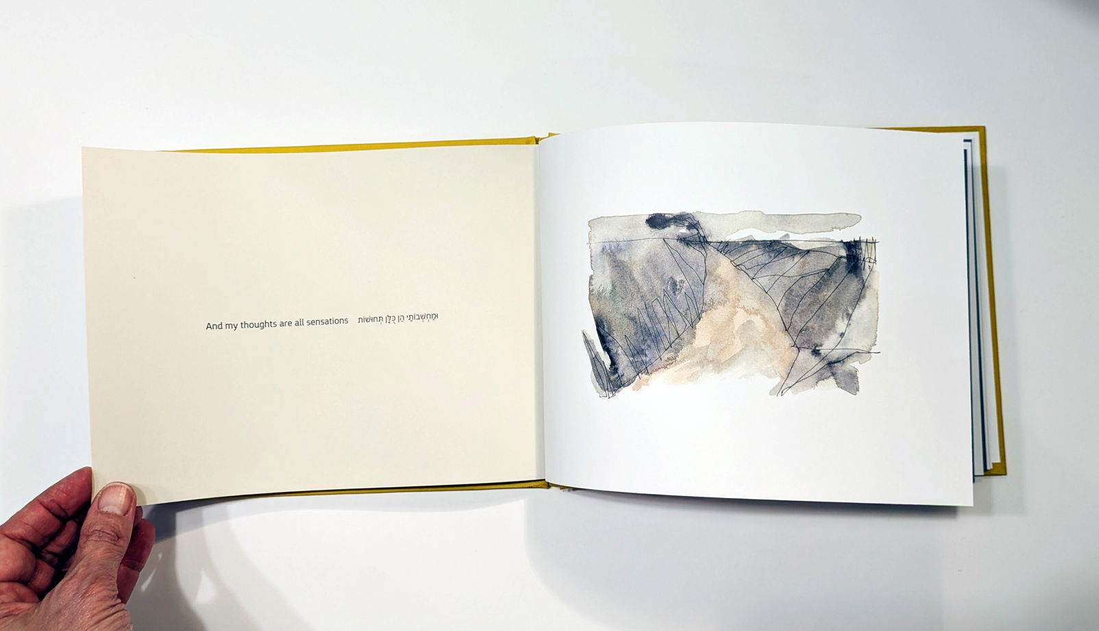 The Keeper of Sheep - שומרת העדרים 2024