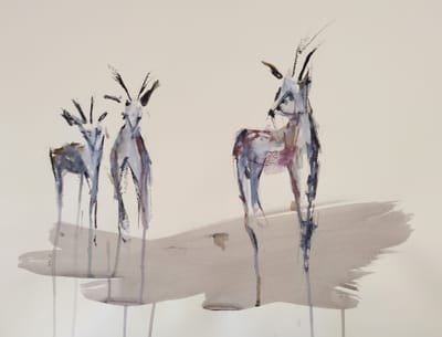 2024, "In The Desert", Eilot Regional Art Gallery,